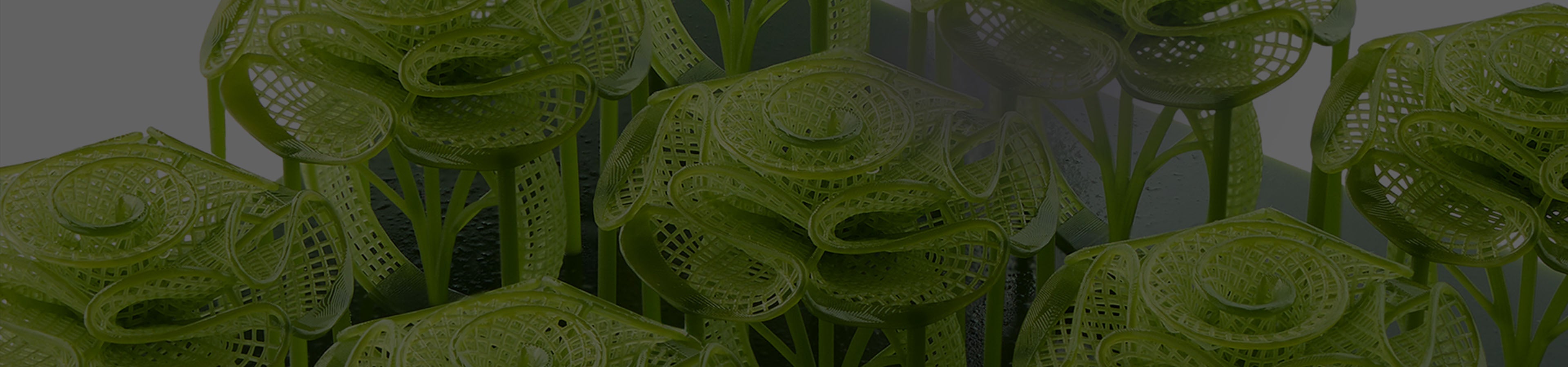 ANYCUBIC-JP